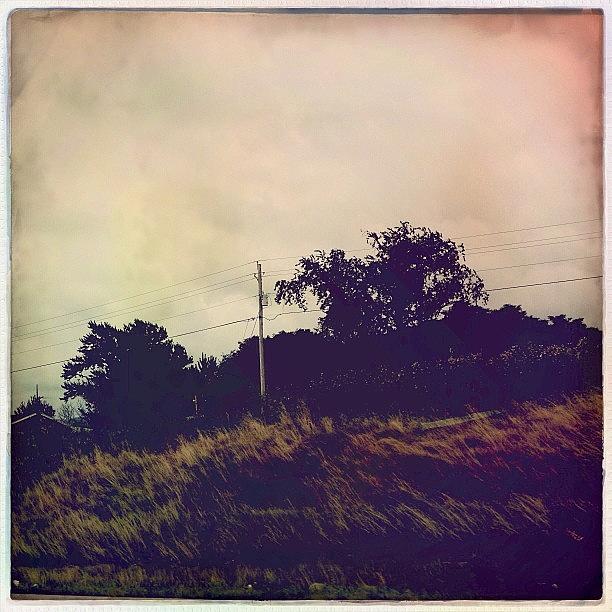Hipstamatic Photograph - Disassemble #hipstamatic by Mary Ann Reilly