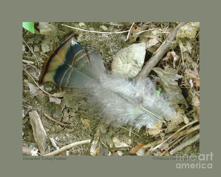 Discarded Turkey  Feather Photograph by Patricia Overmoyer