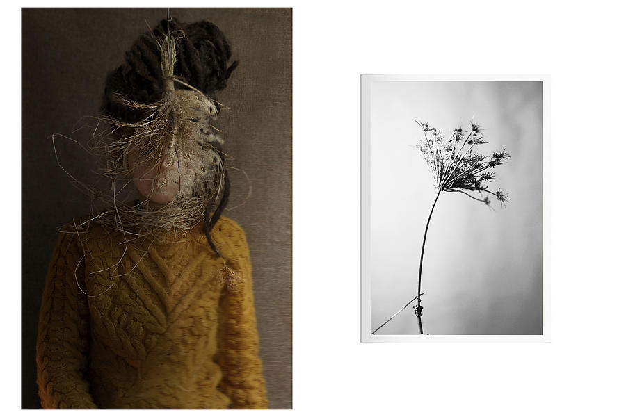 Flower Photograph - Disconnected by Alice De Kruijs