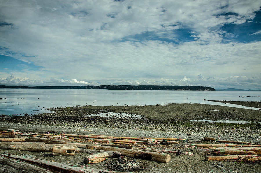 Low Tide Along the Discovery Passage Photograph by Roxy Hurtubise