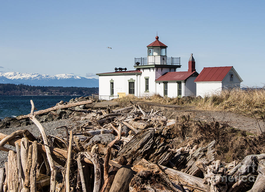 Discovery Park Lighthouse Photograph