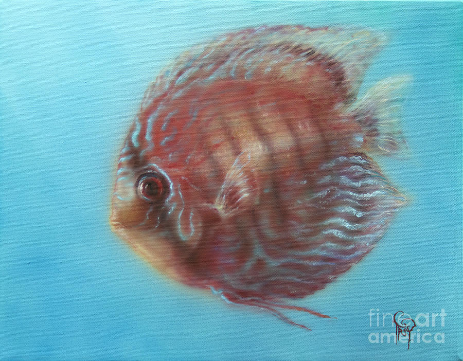 Fish Painting - Discus by Troy Wilfong