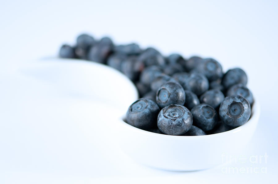 Blueberry Photograph - Dish Of Blueberries by Amanda Elwell