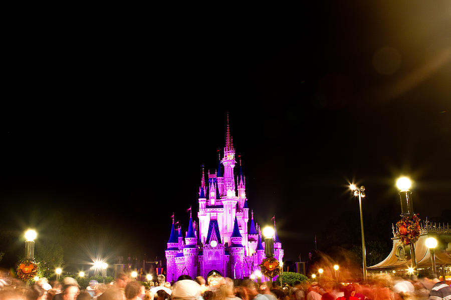 Disney castle at night Photograph by Fizzy Image - Fine Art America