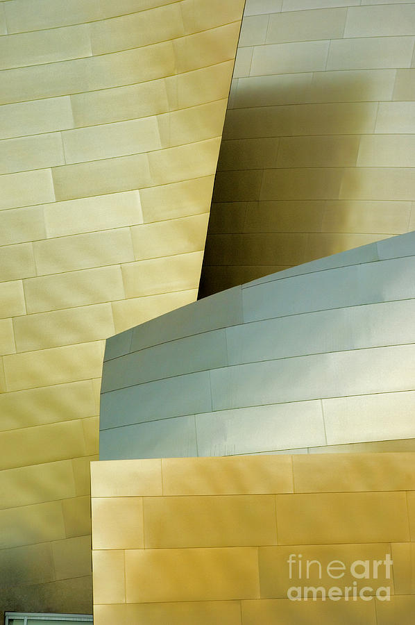 Disney Concert Hall 20 Photograph by Micah May
