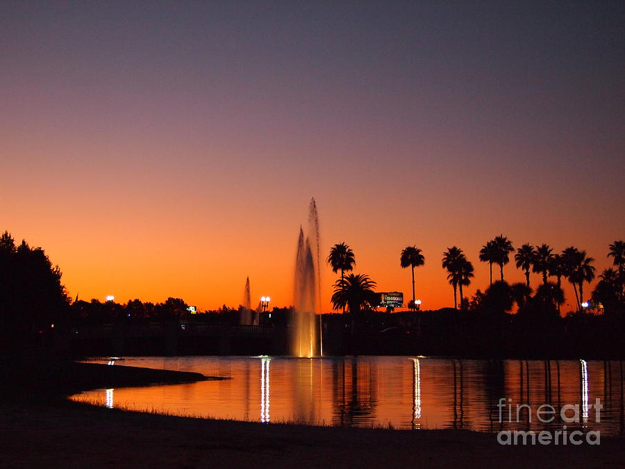 Disney Sunset Photograph