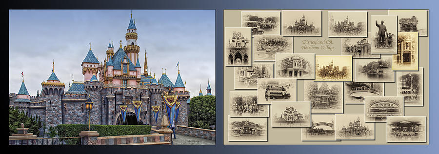 Disneyland Sleeping Beauty Castle And Heirloom Collage 2 Panel Photograph by Thomas Woolworth