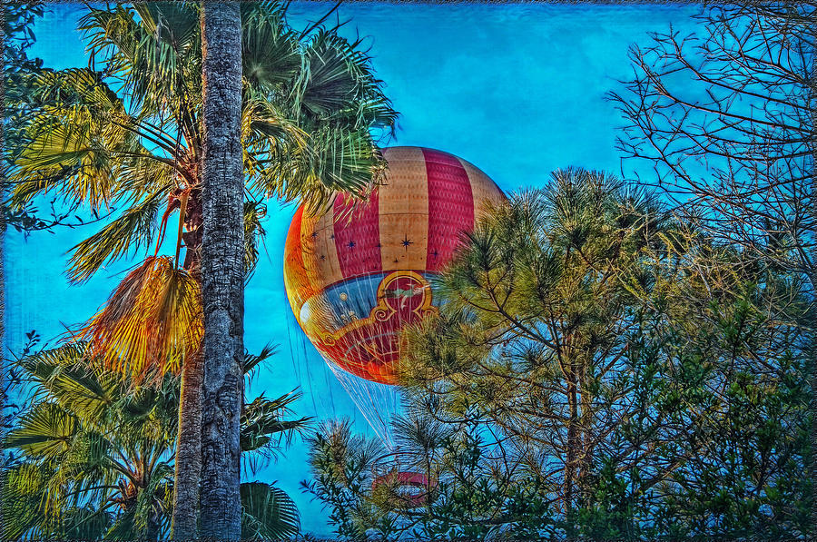 Disneys Aerophile Balloon Photograph by Hanny Heim