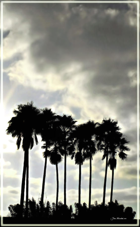Rainforest Digital Art - Disneys Epcot Palm Trees by Joan  Minchak