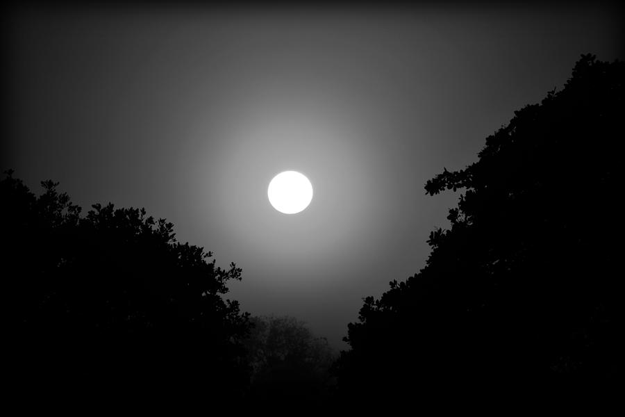 Dispelling The Darkness Photograph by It's An African Life - Fine Art ...