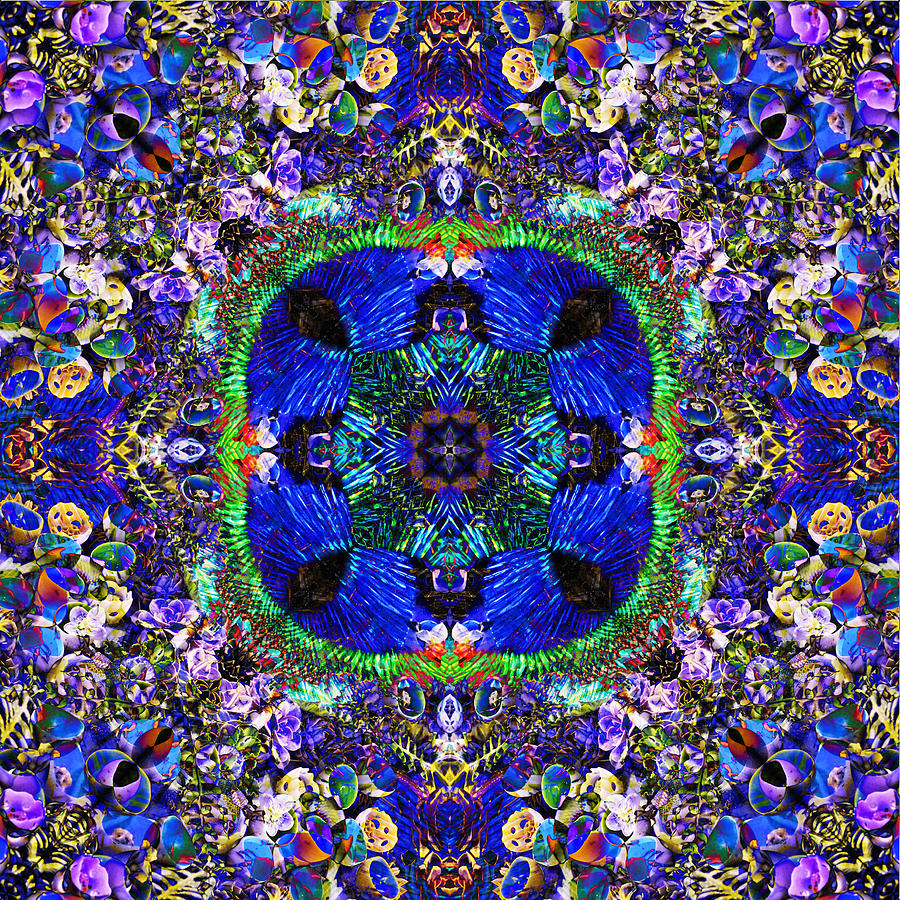 Display Kaleidoscope Photograph