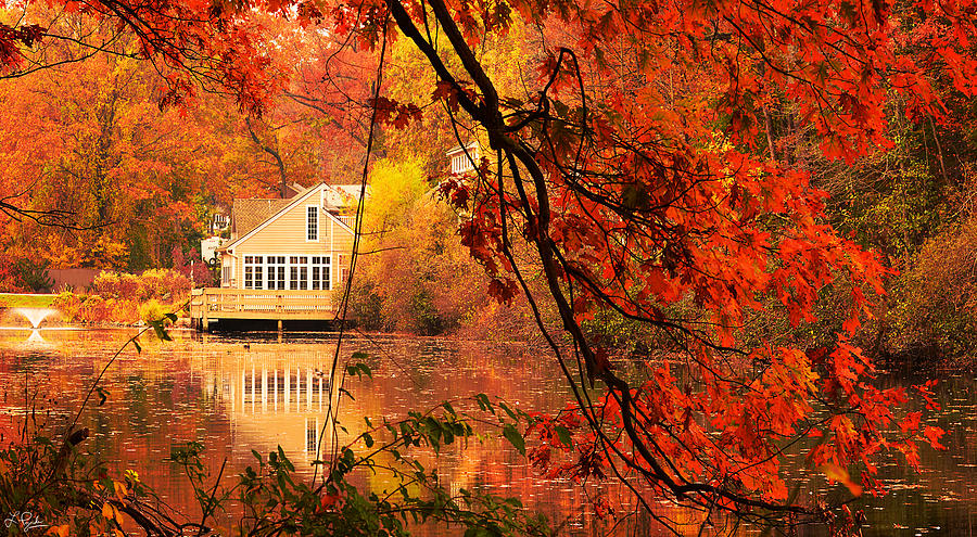 Fall Photograph - Display Of Beauty by Lourry Legarde