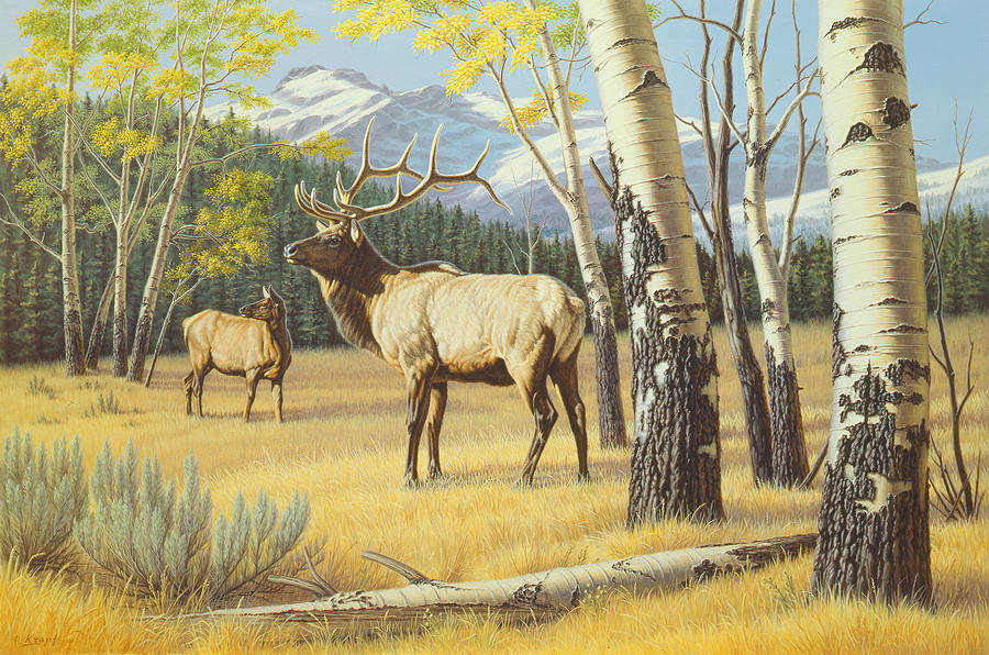 Wildlife Painting - Distant Bugle by Paul Krapf