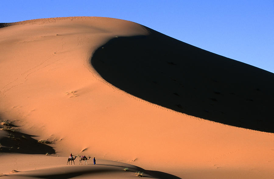 Distant Camel Caravan Crossing The Erg Photograph by John Elk