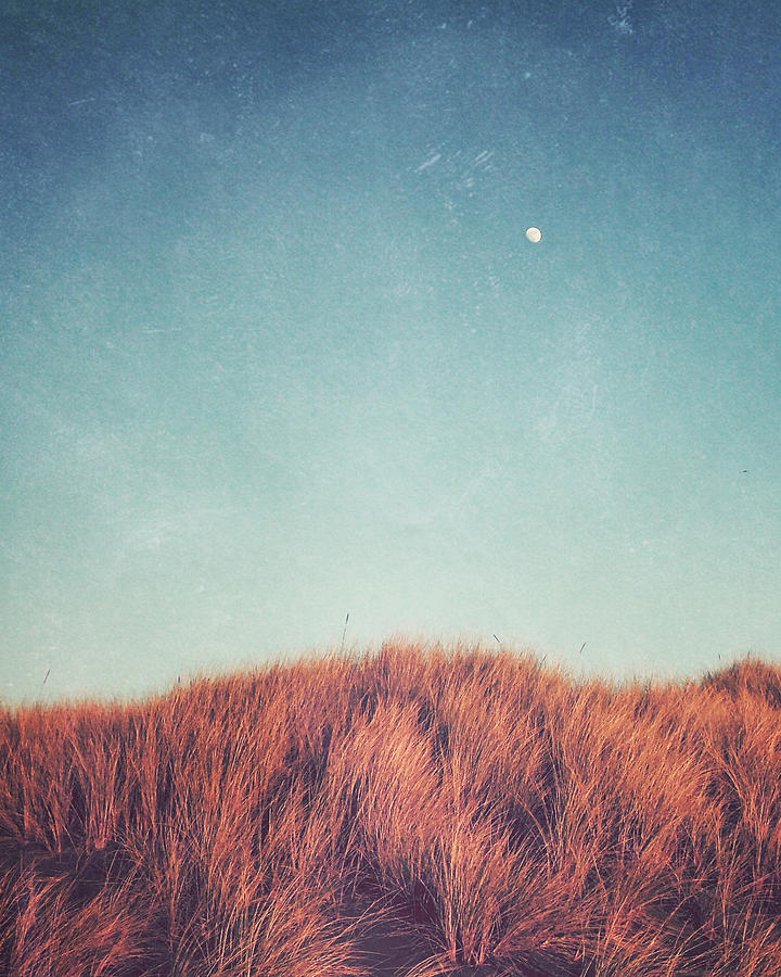 Landscape Photograph - Distant Moon by Lupen Grainne