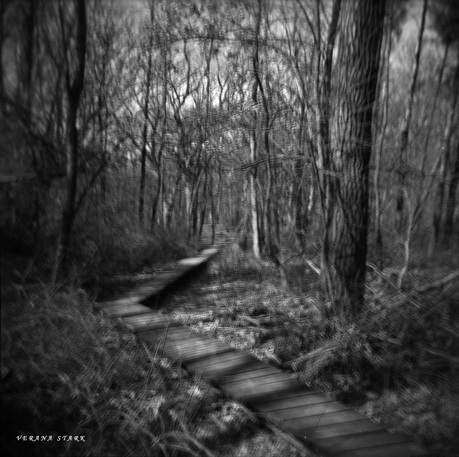 Distant Path Photograph by Verana Stark