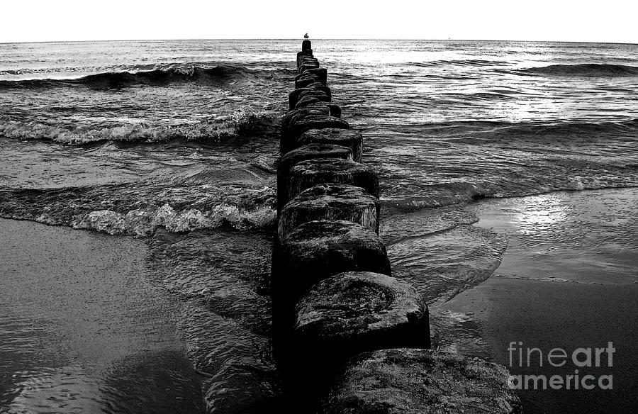 Distant Seagull Baltic Beach Photograph by Andy Prendy - Fine Art America