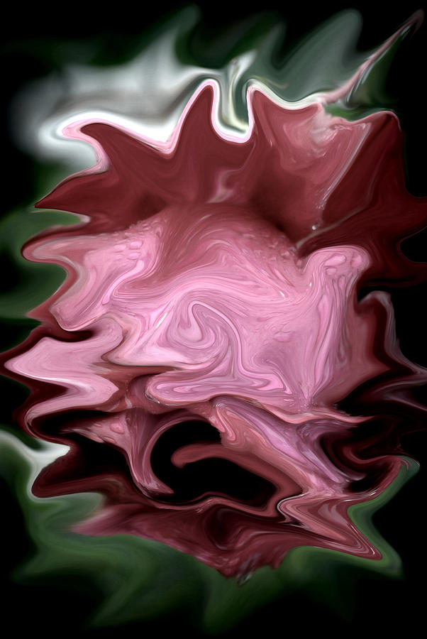 Distorted Rose Photograph by Amanda Eberly