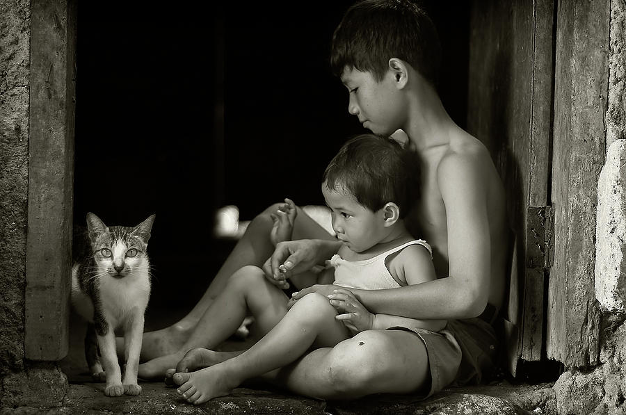 Animal Photograph - Distraction by Raymond Sitanggang