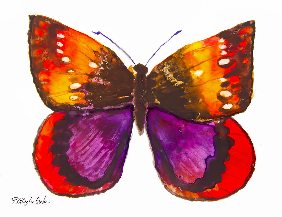 Diva Moth Mixed Media by Patricia Allingham Carlson