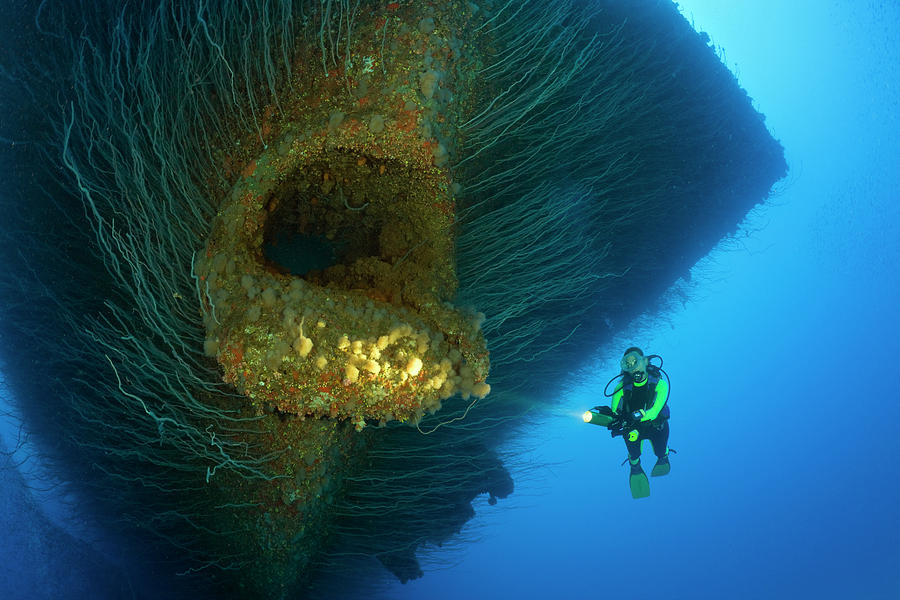 Diver At Anchor Hawse Hole At Bow Photograph by Reinhard Dirscherl Diver At Anchor Hawse Hole At Bow Photograph by Reinhard Dirscherl