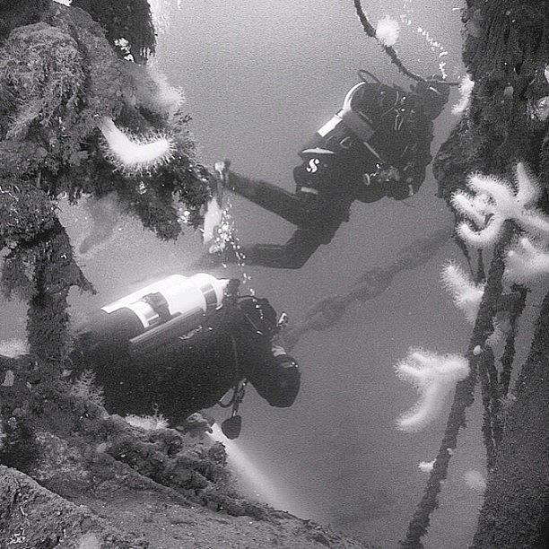 Nature Photograph - Divers At The Town Wreck In by Chokolars Sorensen
