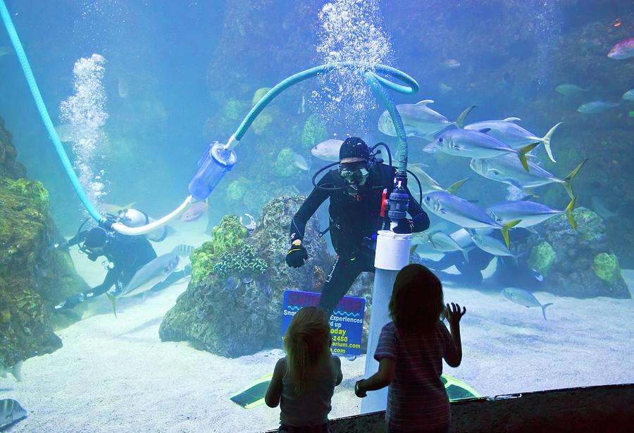 Device Photograph - Divers Cleaning Aquarium Tank by Jim West
