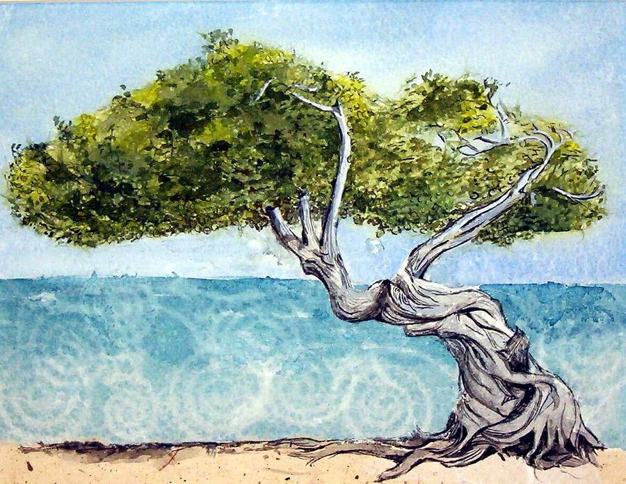 Divi Divi Tree Painting by Lynn Babineau