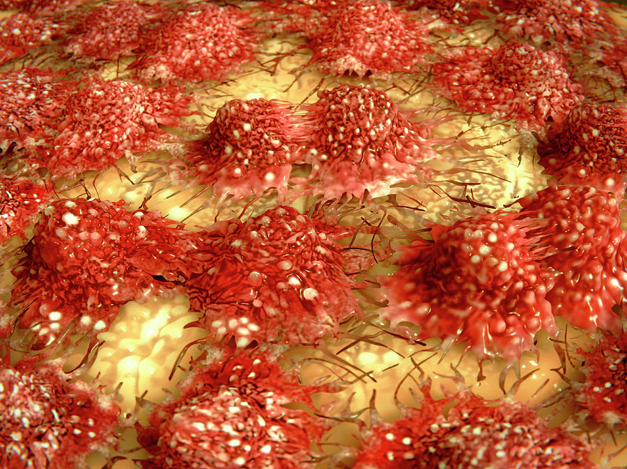 Dividing Cancer Cells, Illustration Photograph by Juan Gaertner