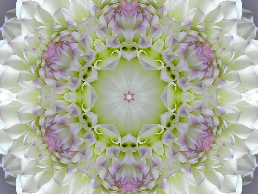 Divine Grace Mandala Digital Art by Diane Lynn Hix