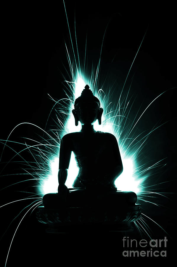 Buddha Photograph - Divine Spark by Tim Gainey