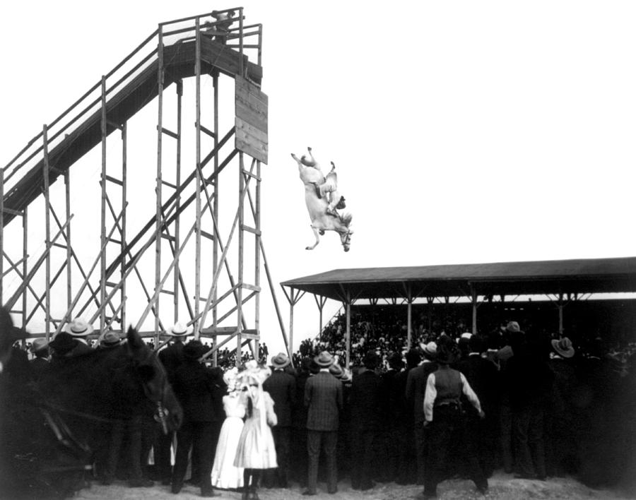 Diving Horse Stunt, 1905 Photograph by Science Source