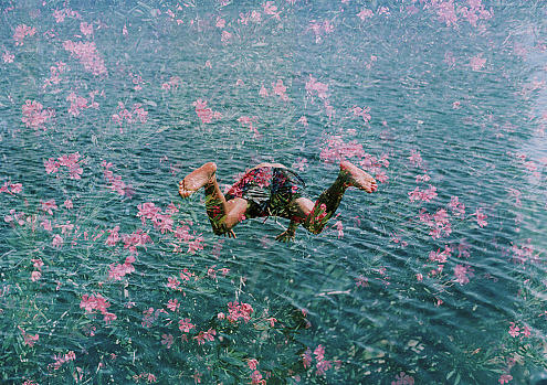 Diving Into Pink Flowers Photograph by Hollie Fernando