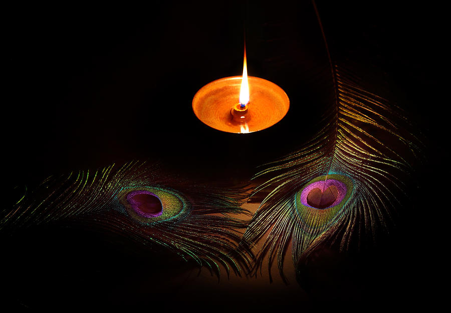 Diwali Oil Lamps and Peacock Feather Photograph by Rbb