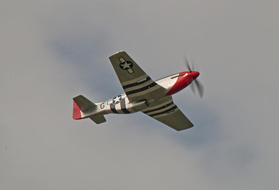 Dixie Wing P-51 Red Nose Photograph by John Black