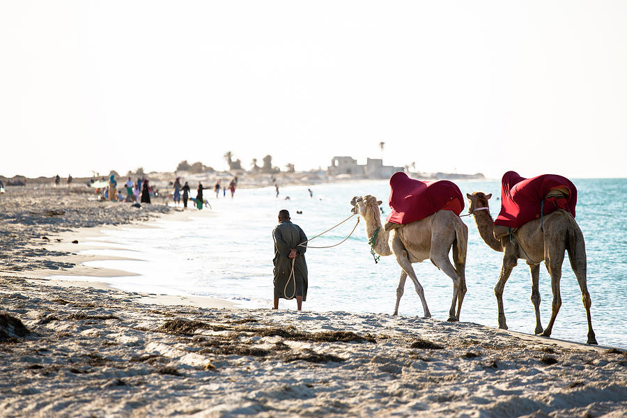 Djerba Tunisia Photograph by Tim E White