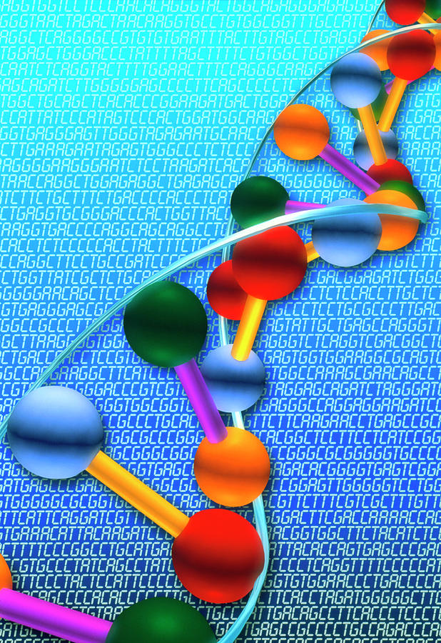 Dna Artwork Photograph by Alfred Pasieka/science Photo Library
