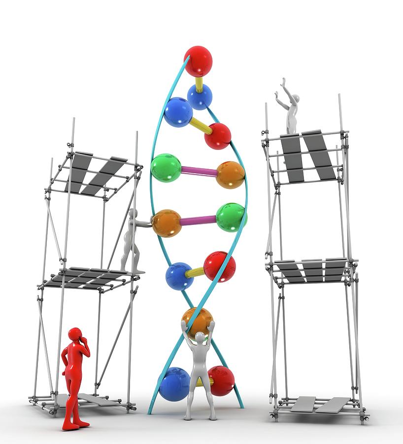 Biology Photograph - Dna Construction by Pasieka Biology Photograph - Dna Construction by Pasieka