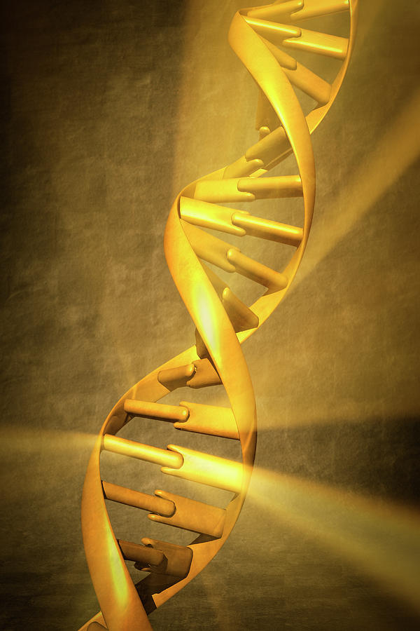 Dna Double Helix Photograph by Gary S Chapman