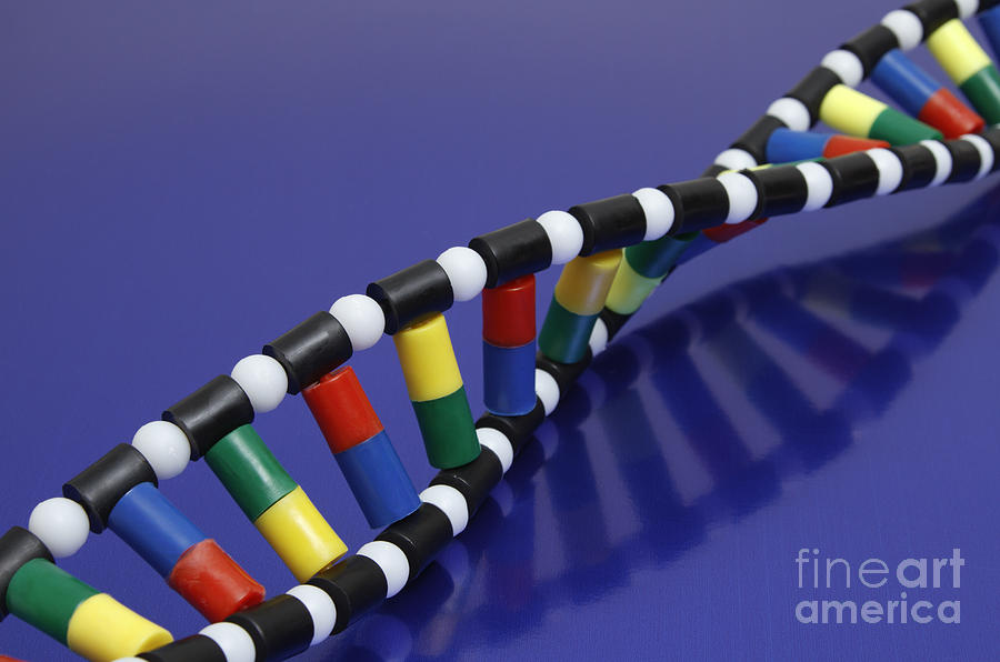 Dna Double Helix Photograph by GIPhotoStock