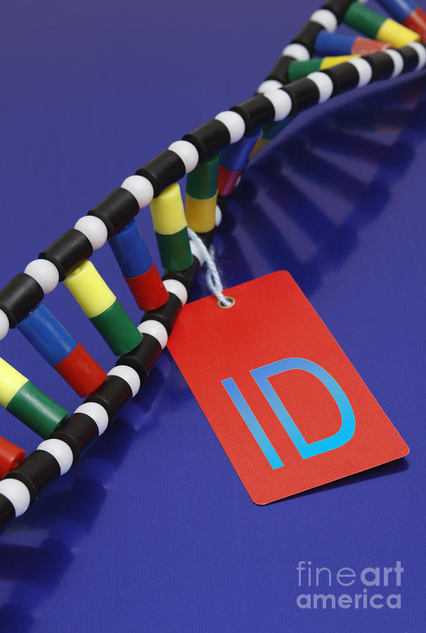 Dna Double Helix, Id Tag Photograph by GIPhotoStock