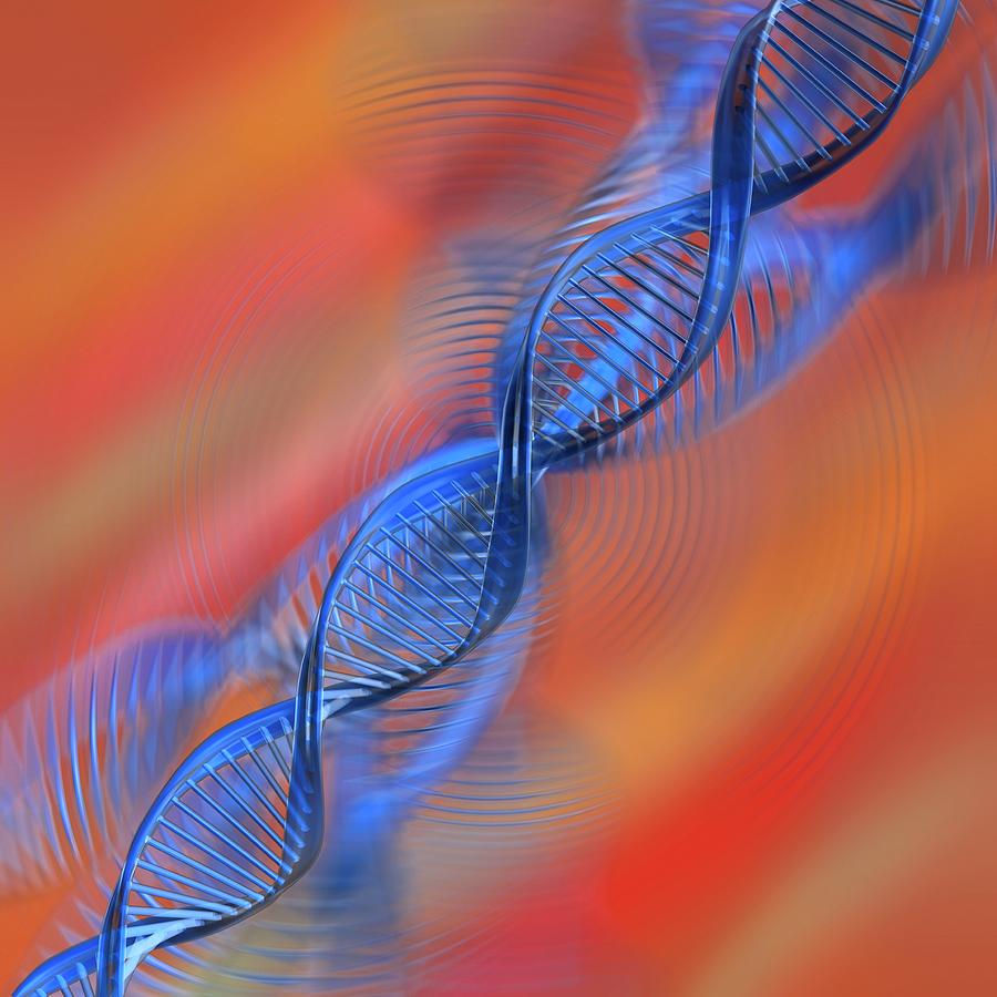 Dna Double Helix Photograph by Paul Wootton/science Photo Library ...