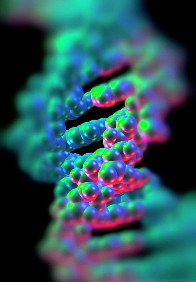 dna-double-helix-structure-photograph-by-alfred-pasieka-science-photo