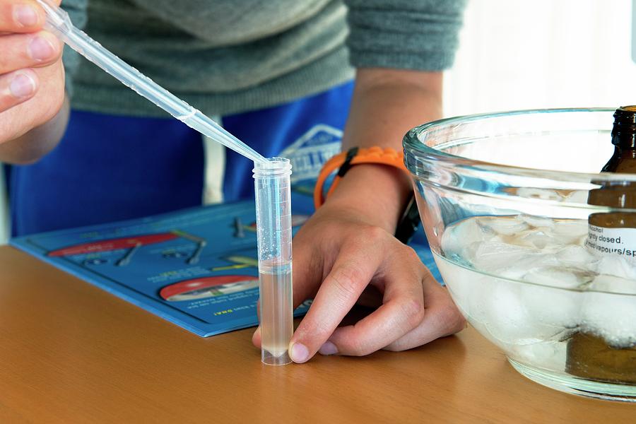 How to dna extraction