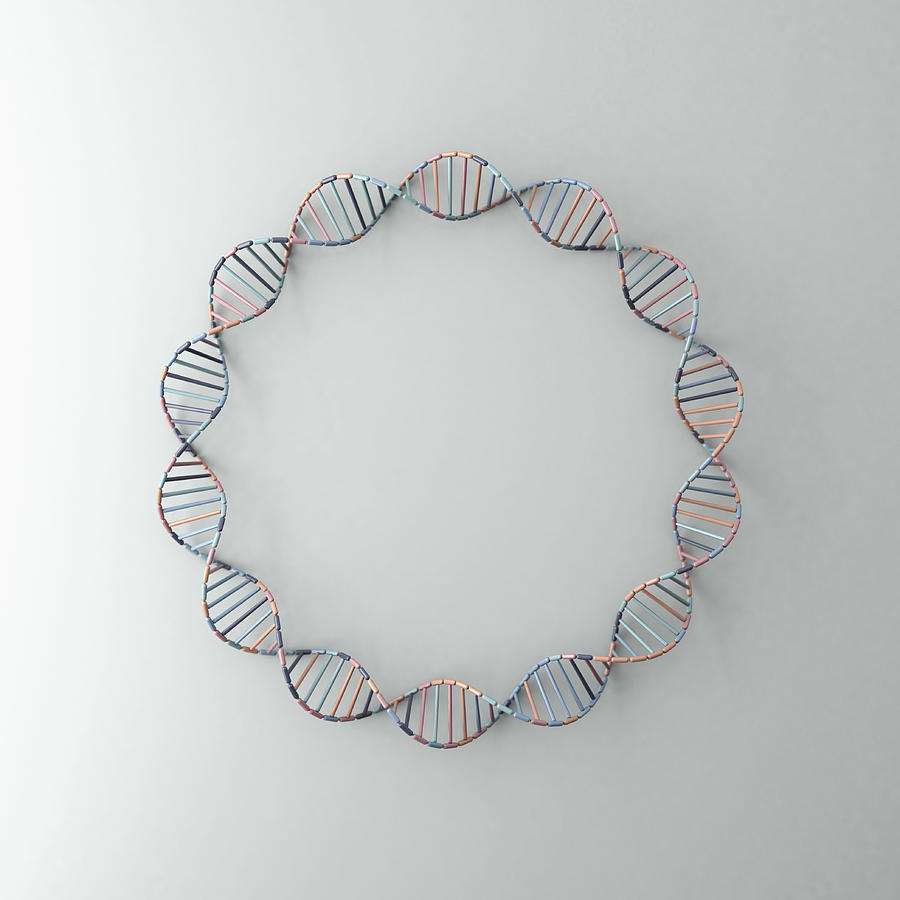 DNA helix resting against a pale grey backdrop Photograph by Atomic Imagery