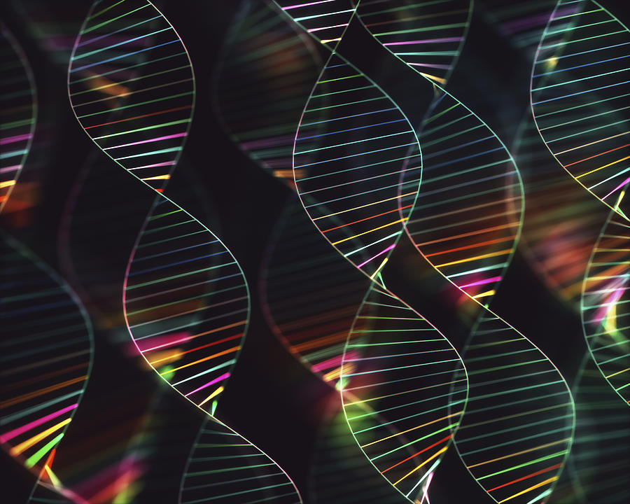 DNA molecules, illustration Photograph by Ktsdesign/science Photo Library