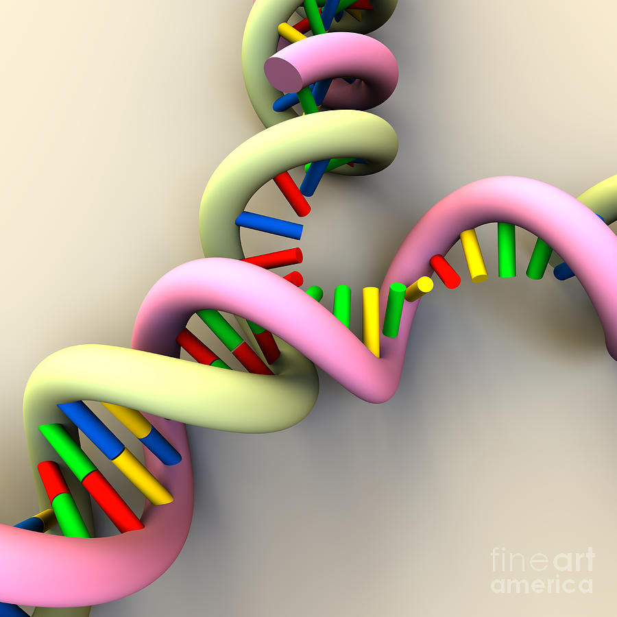 DNA Replication Fork #7 Digital Art by Russell Kightley