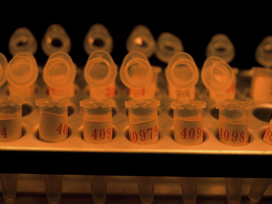 Dna Research Photograph by Peter Menzel/science Photo Library