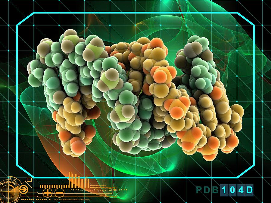 Dna-rna Hybrid Molecule by Laguna Design/science Photo Library