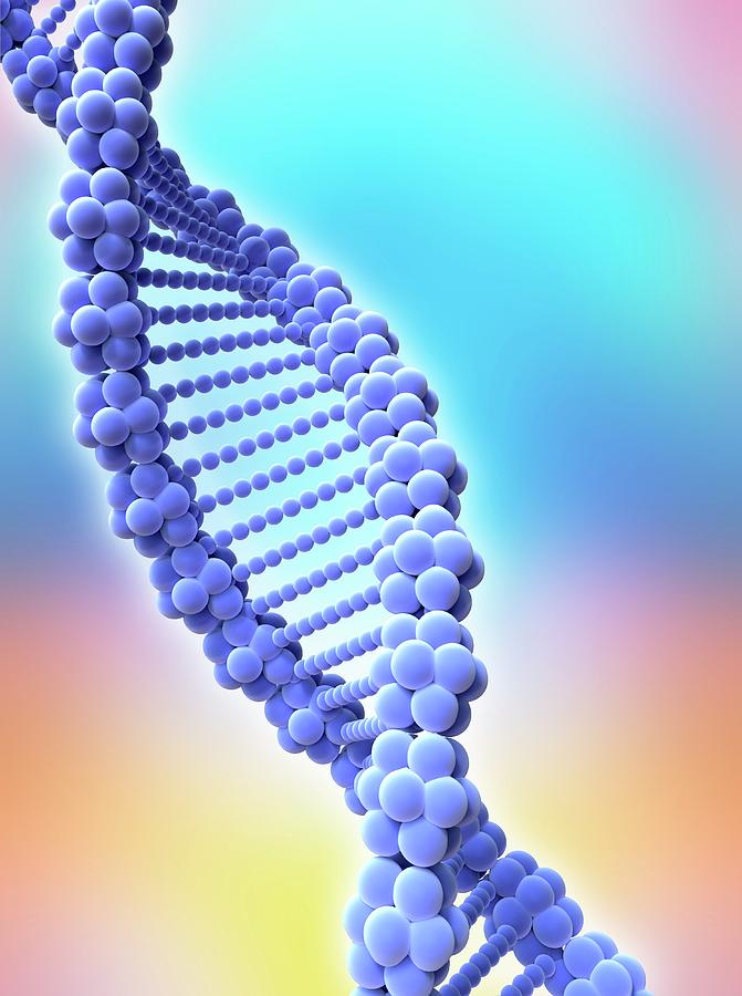 Dna Strand Photograph by Alfred Pasieka/science Photo Library